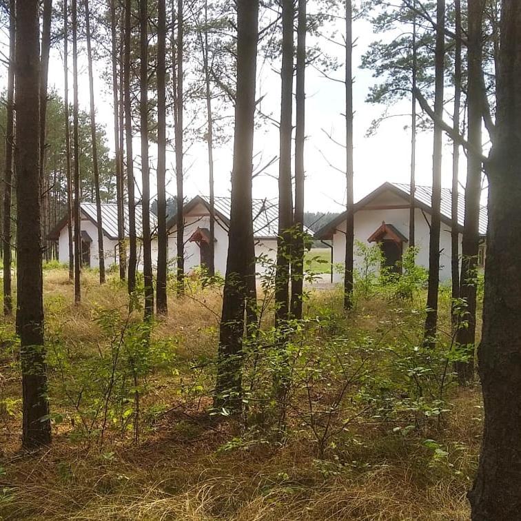 Vila Zurawia Polana Swietajno  Exteriér fotografie