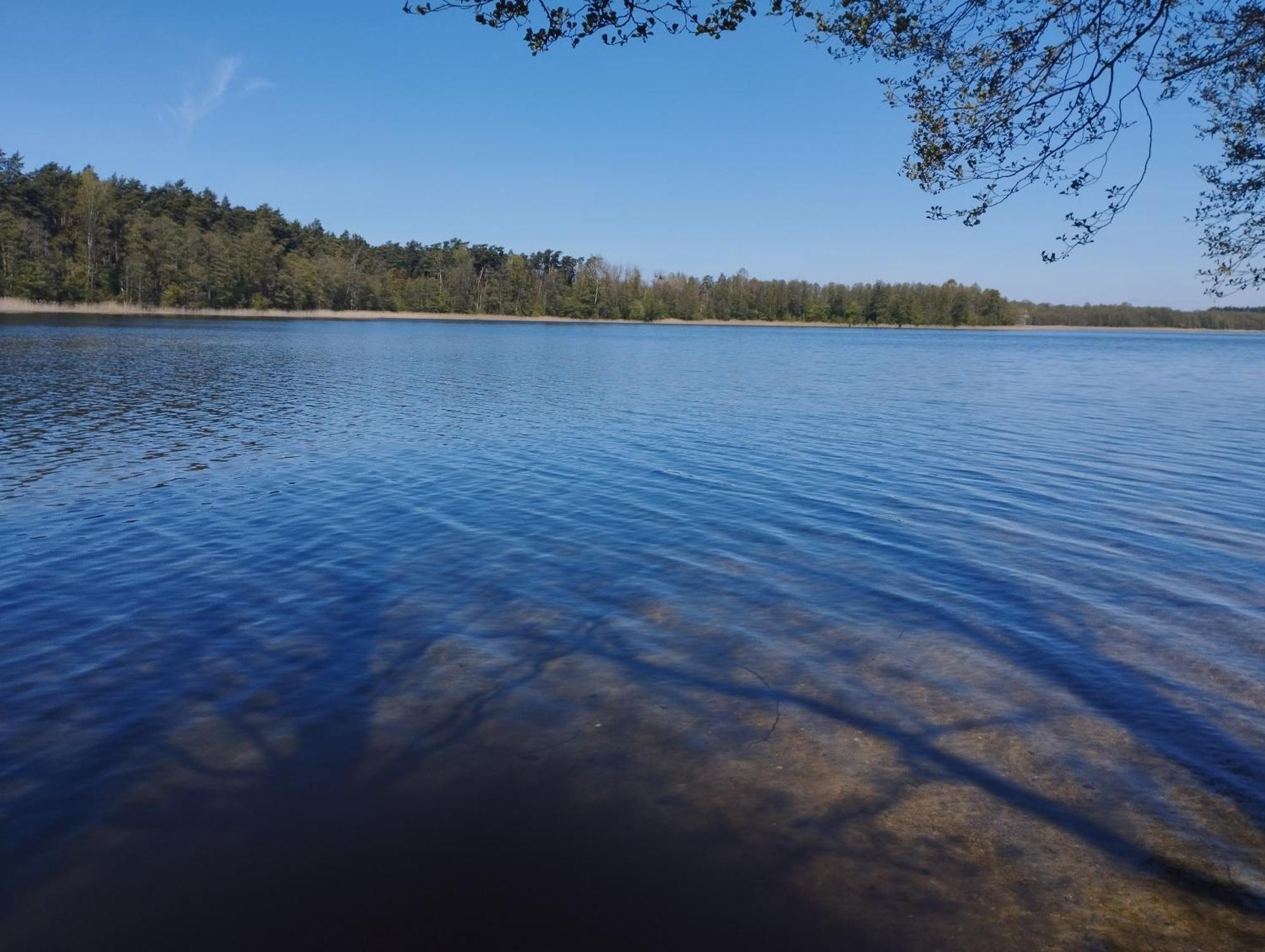 Vila Zurawia Polana Swietajno  Exteriér fotografie