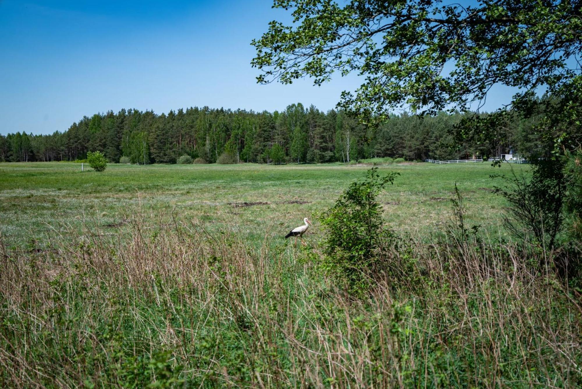 Vila Zurawia Polana Swietajno  Exteriér fotografie